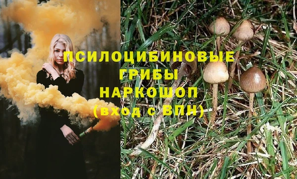 амф Сосновоборск