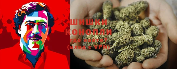 2c-b Верхний Тагил