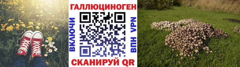 Псилоцибиновые грибы Psilocybe Карабаново